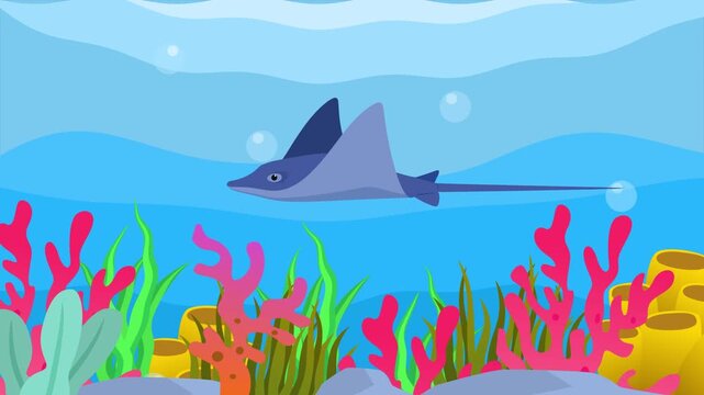 stingrays swimming in the sea. Sea Animal concept. Full length animation illustration. High quality&nbsp;4k&nbsp;footage