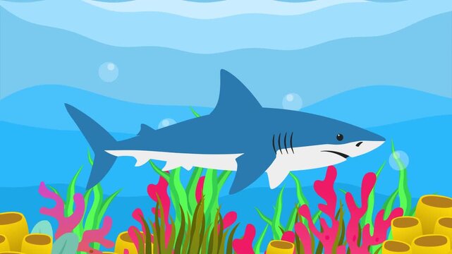 shark swimming in the sea. Sea Animal concept. Full length animation illustration. High quality&nbsp;4k&nbsp;footage