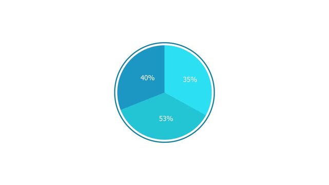 Financial Data Comparison with Pie Chart Infographics Animation.