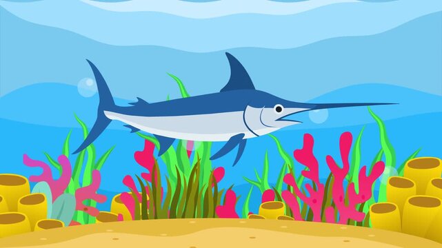 swordfish swimming in the sea. Sea Animal concept. Full length animation illustration. High quality&nbsp;4k&nbsp;footage