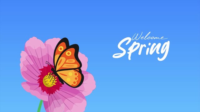Colorful Butterfly Spring Scene. Springs concept. Full length animation illustration. High quality&nbsp;4k&nbsp;footage