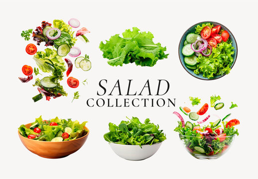 Fresh Vibrant Salad Assortment Element Set