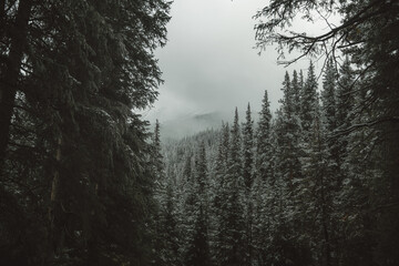 Colorado Rocky Mountains