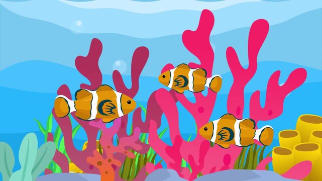 clownfish swimming in the sea. Sea Animal concept. Full length animation illustration. High quality&nbsp;4k&nbsp;footage
