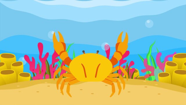 crabs on the seabed. Sea Animal concept. Full length animation illustration. High quality&nbsp;4k&nbsp;footage