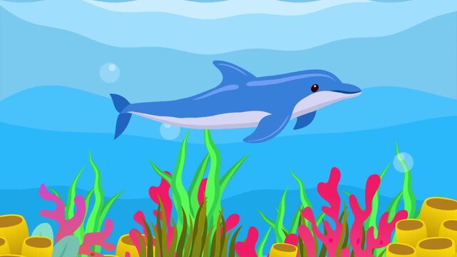 dolphins swimming in the sea. Sea Animal concept. Full length animation illustration. High quality&nbsp;4k&nbsp;footage
