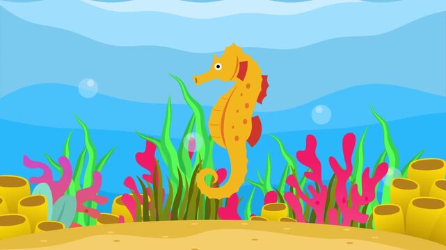 Seahorses swimming in the sea. Sea Animal concept. Full length animation illustration. High quality&nbsp;4k&nbsp;footage