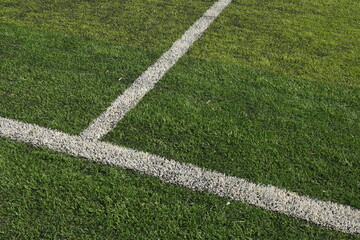 artificial green grass background for playground