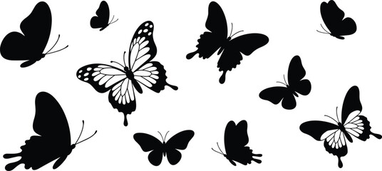 Butterfly silhouettes collection, flying butterflies in different poses, black insect shapes, nature wildlife vector illustration isolated white © Noman Art