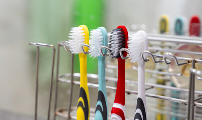 Hanging toothbrush on holder in bathroom, daily oral hygiene routine concept