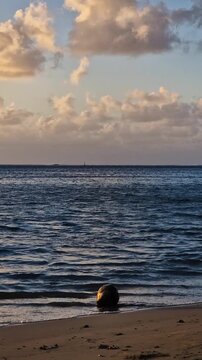 Vertical View, French Polynesia Island and Coconut Tree in Sand at Bech on Golden Hour Sunlight