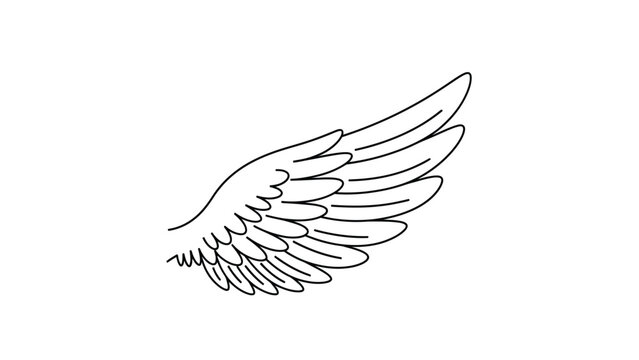 A detailed line drawing of a single wing with feathers, outlined in black on a white background.