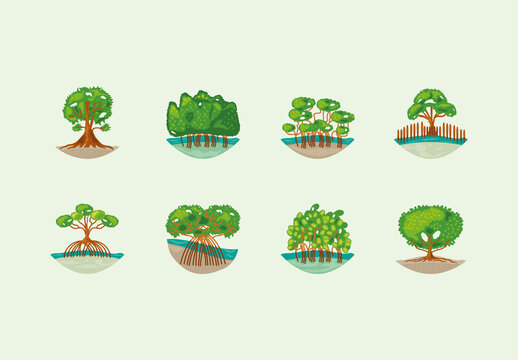 Mangrove Trees Illustration Design Set