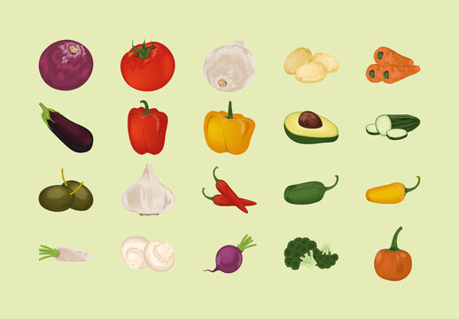 Vegetables Illustration Design Set