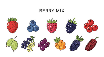 A collection of ten different types of berries arranged in two rows under the title BERRY MIX © Agung