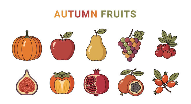 Illustration of ten different autumn fruits arranged in two rows