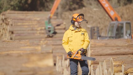 貯木場で働く林業従事者:撮影協力　多摩木材センター協同組合