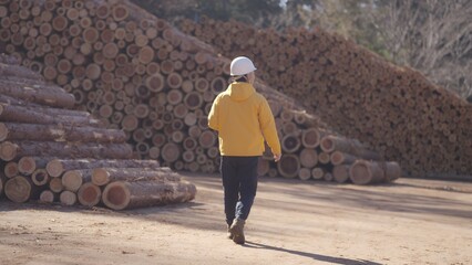 貯木場で働く林業従事者:撮影協力　多摩木材センター協同組合