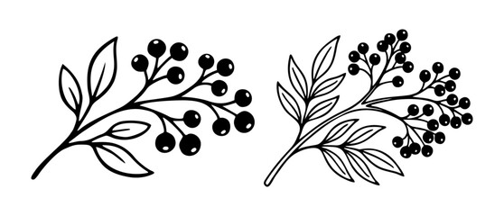 Two black and white line art illustrations of botanical branches with berries and leaves, showcasing different styles of natural elements. © ssstyawn