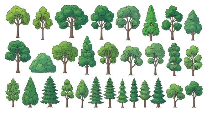 A diverse collection of stylized trees, showcasing various shapes, sizes, and species, presented in a clean, illustrative style against a white background.