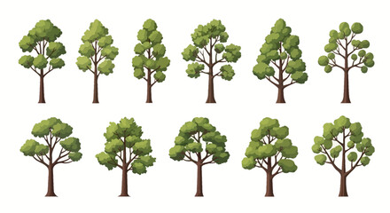 Obraz premium A collection of various stylized green trees with different shapes and foliage, isolated on a white background.