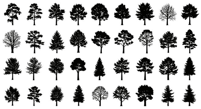 A comprehensive collection of diverse tree silhouettes, showcasing various species and their distinct shapes.