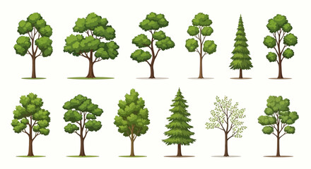 Obraz premium A collection of diverse green trees with detailed foliage and trunks, presented in a clean, illustrative style against a white background.