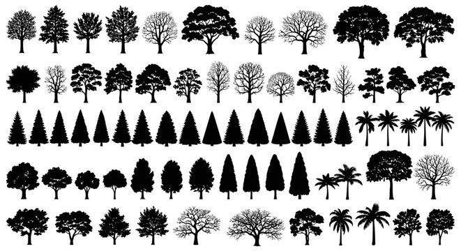 Collection of diverse tree silhouettes, showcasing various species and growth stages, from deciduous to coniferous and palm trees.
