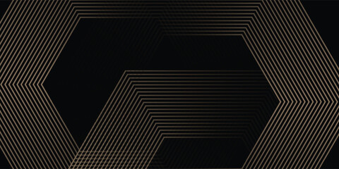Abstract glowing geometric lines on black background. Modern shiny hexagon lines pattern. vector illustration eps10