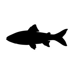 Obraz premium Minimal Fish Icon Black Silhouette Design