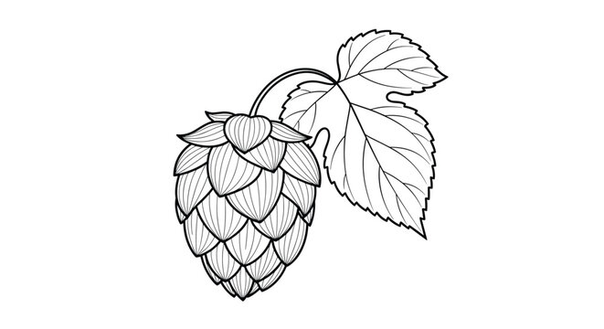 A simple line drawing of a single hop cone with a leaf.