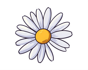 Cute Single Daisy Flower Flat Illustration PNG Transparent Background