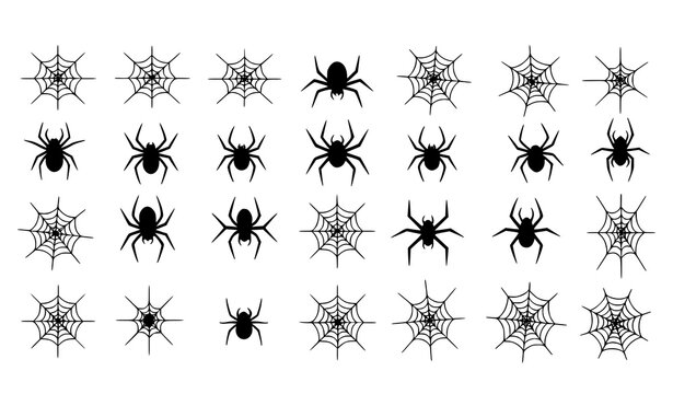 Minimal black spider and web silhouette vector pack with clean flat shapes for Halloween graphics