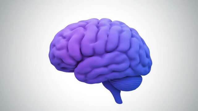 A detailed 3D rendering of a human brain dynamically changing colors, symbolizing cognitive processes and innovation.