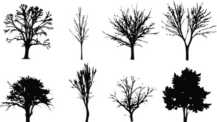 Obraz premium Collection of black tree silhouettes with varying branch structures on a clean white background