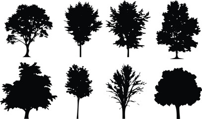 Eight diverse black silhouettes of deciduous trees featuring both full foliage and bare branches