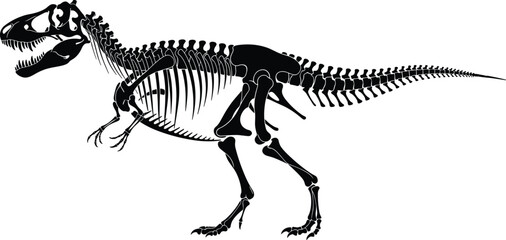 Black Tyrannosaurus Rex skeleton silhouette isolated on white background, prehistoric dinosaur bones icon, cad drawing flat vector illustration for paleontology. © mstHasina