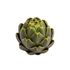 Obraz premium An artichoke is a fresh, raw, green veggie that has a tasty heart. It can be grown organically in a garden or on a commercial farm for a healthy diet.