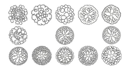 Collection of detailed top-down architectural drawings of various deciduous trees, showcasing intricate branch and leaf patterns. © Himari
