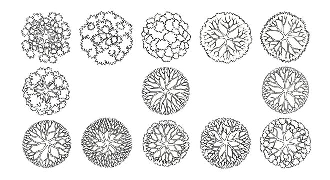 Collection of detailed top-down architectural drawings of various deciduous trees, showcasing intricate branch and leaf patterns.