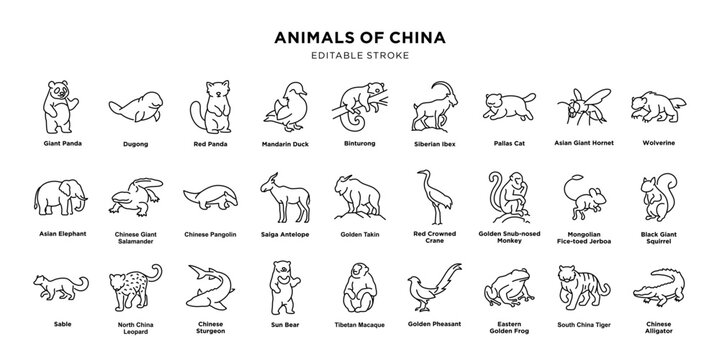 Animals of China - Line Drawings Collection