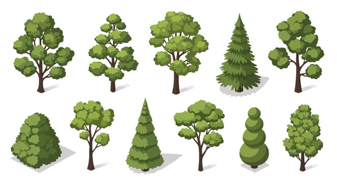A collection of diverse isometric trees, showcasing various shapes and sizes, perfect for digital art and game design.