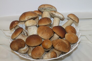 mushrooms in a basket