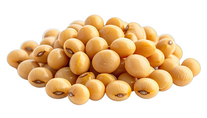 A pile of shiny, light-yellow soybeans set against a stark black background.