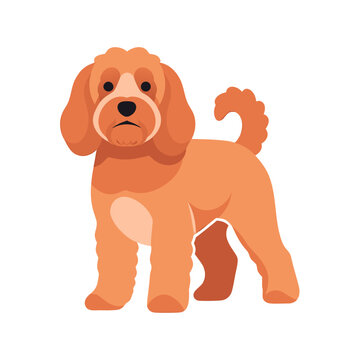 Happy Standing Cavoodle Dog Flat 2D Vector Illustration