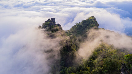 Stunning natural scenery: forests and morning mist in Thailand.
