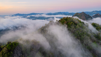 Stunning natural scenery: forests and morning mist in Thailand.