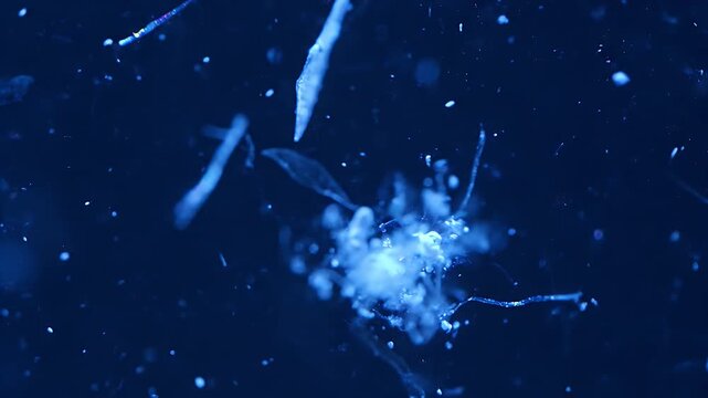 An extreme macro visualization of iridescent microplastic shards and colorful synthetic fibers floating in deep blue water among organic marine plankton.