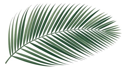 Fototapeta premium Detailed Illustration of a Lush Green Palm Frond Leaf