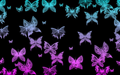 Modèles de papillons sur fond noir. © tsuiho